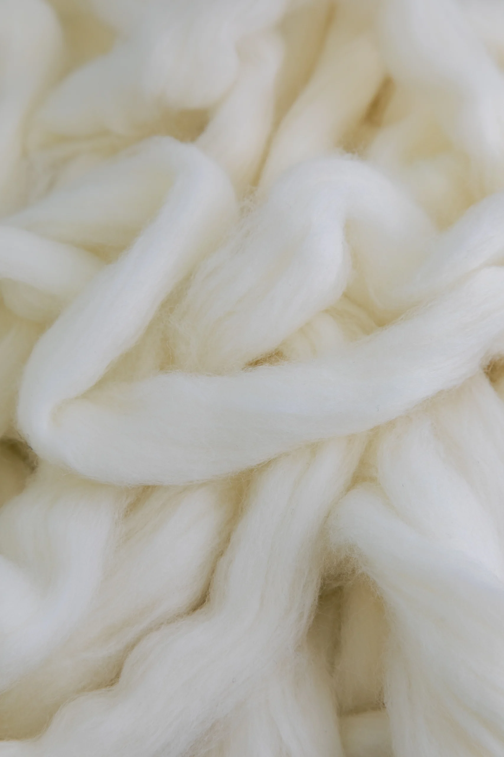 241118-MARINA-TEXTIL2385_1